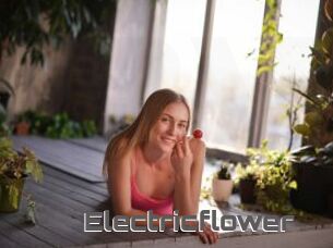Electricflower