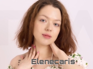 Elenecaris