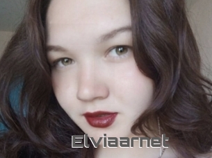 Elviaarnet