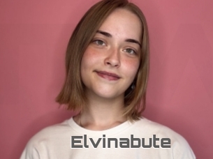 Elvinabute