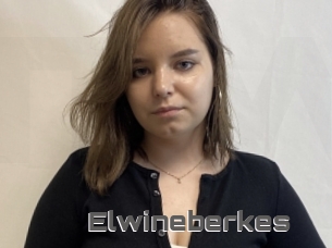 Elwineberkes