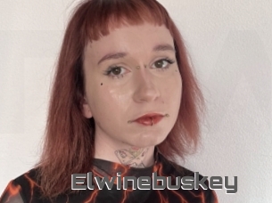 Elwinebuskey