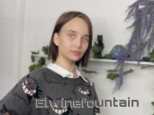 Elwinefountain