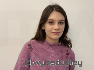 Elwynadudley