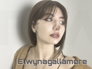 Elwynagallamore