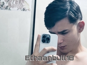 Ethaanbull18
