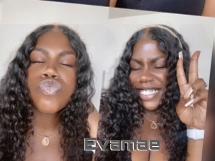 Evamae
