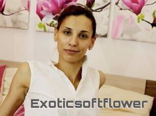 Exoticsoftflower