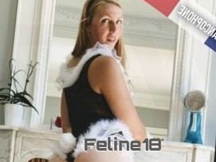 Feline18
