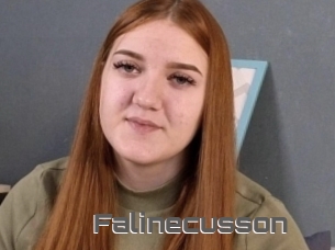 Falinecusson