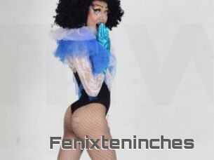Fenixteninches