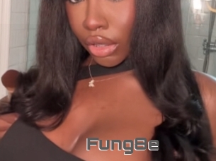 Fung8e