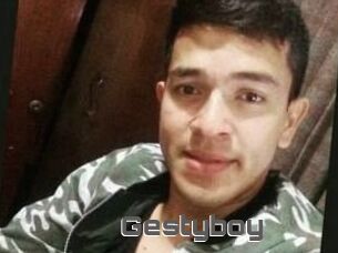Gestyboy