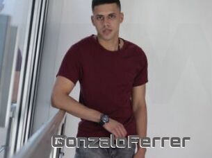 GonzaloFerrer