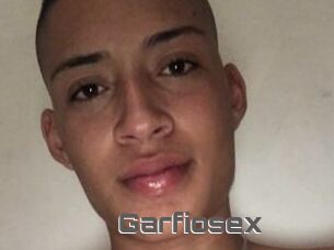 Garfiosex