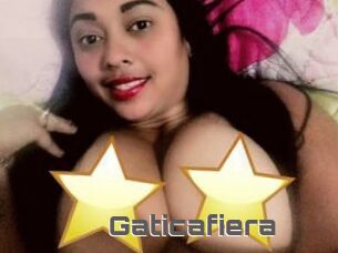 Gaticafiera
