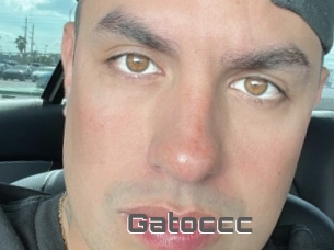 Gatoccc