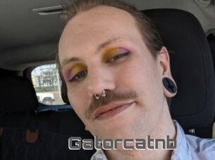 Gatorcatnb