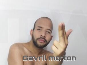 Gavril_morton