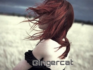 Gingercat