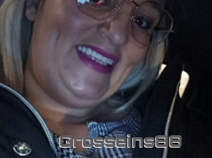 Grosseins88