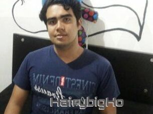 HairybigHo