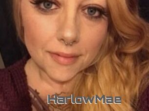 HarlowMae