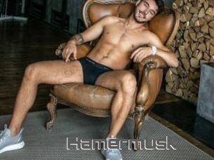Hamermusk