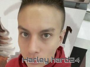 Harley_hard24