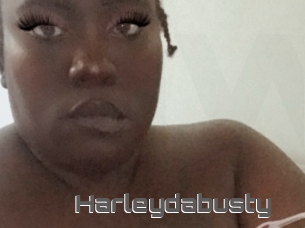 Harleydabusty