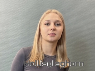 Hollisgleghorn
