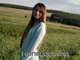 Honeydomino