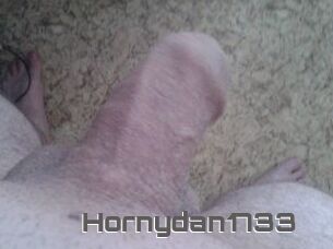 Hornydan1733