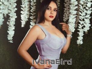 IvanaBird