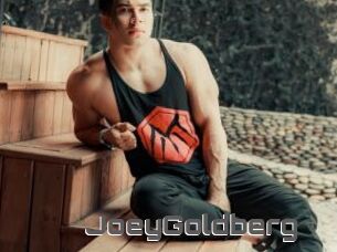 JoeyGoldberg