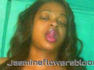 Jasmineflowersbloom