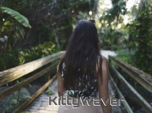 KittyWaver