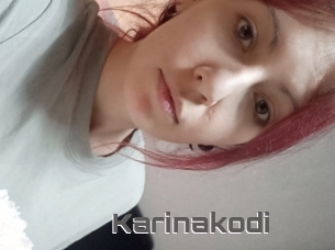 Karinakodi