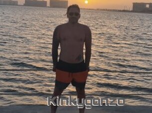 Kinkygonzo