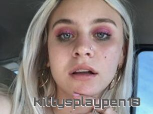 Kittysplaypen18