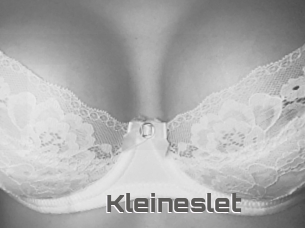 Kleineslet