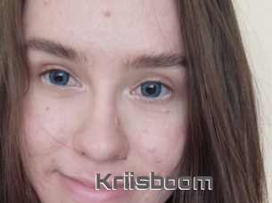 Kriisboom