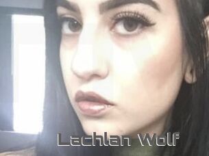 Lachlan_Wolf