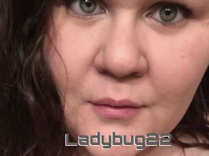 Ladybug22