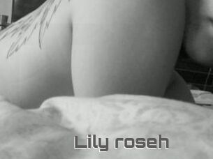 Lily_roseh