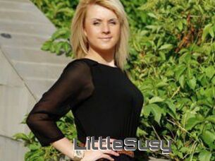 LittleSusy