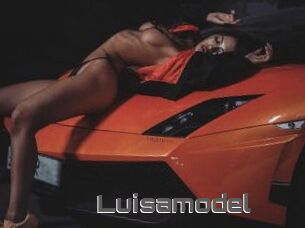 Luisamodel