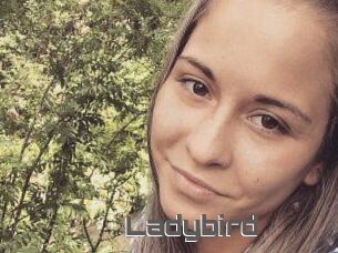 Ladybird