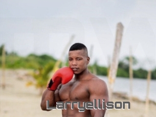 Larryellison