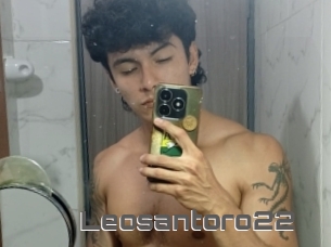 Leosantoro22